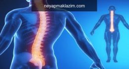 Kayropraktik Tedavi Nedir, Nasıl Yapılır?