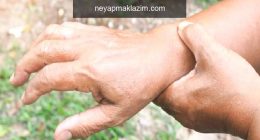 Romatoloji nedir? Hangi hastalıklara bakar
