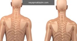 Skolyoz Hangi Sıklıkla Görülür?