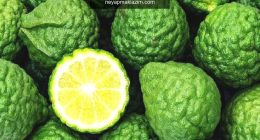 Bergamot nedir? Bergamot nerede yetişir? Bergamotun faydaları nelerdir?