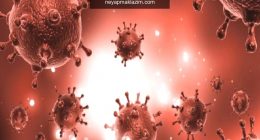 Coronavirsü (Korona) nasıl bulaşır? Coronavirüsünün belirtileri nelerdir? Virüs ölümcül mü?