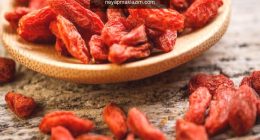Goji Berry (Kurt üzümü) faydaları nelerdir? Goji Berry (Kurt üzümü) nasıl tüketilir?