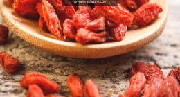 GojiBerry (Kurt üzümü) faydaları nelerdir? GojiBerry hangi hastalıklara iyi gelir?