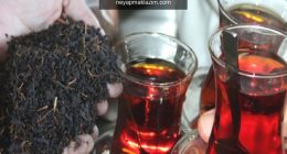 Kaçak çay nedir? Kaçak çayın faydaları nelerdir? Kaçak çayın zararı var mıdır?