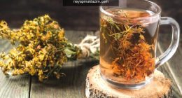 Kantaronun faydaları nelerdir? Kantaron yağı ne işe yarar? Sarı kantaron çayı nasıl yapılır?