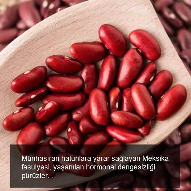 Meksika fasulyesi faydaları nelerdir? Meksika fasulyesi nasıl tüketilir?