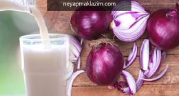 Mor soğanın faydaları nelerdir? Mor soğanı sütle karıştırıp içerseniz ne olur?