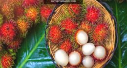 Rambutan nedir? Rambutan meyvesinin faydaları nelerdir? Rambutan nasıl yenir?