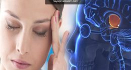 Stres hormonu (Kortizol) nedir? Kortizol ne işe yarar? Kortizol yükselirse ne olur?