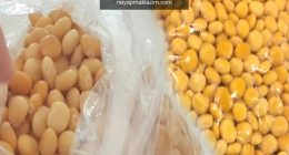 Termiye nedir? Termiyenin faydaları nelerdir? Termiye nasıl yenir?